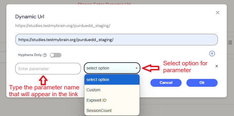 dynamic link enter parameter