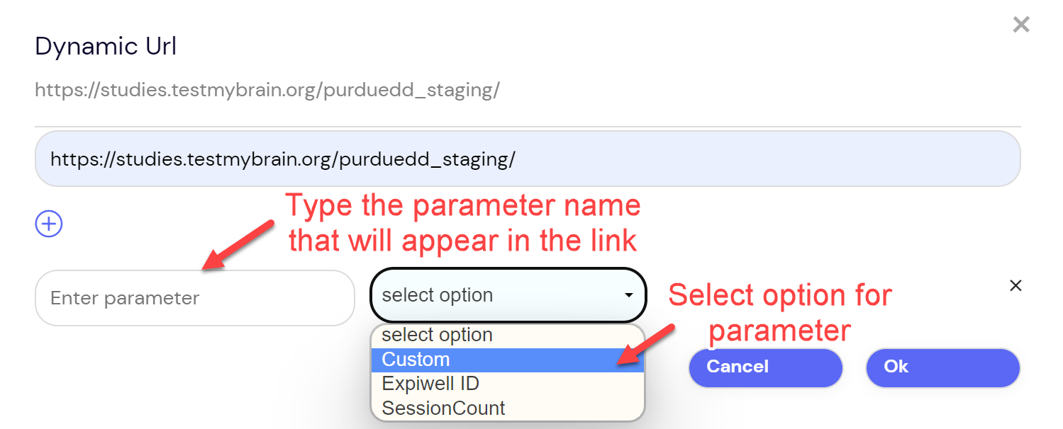 Dynamic Link Enter Parameter
