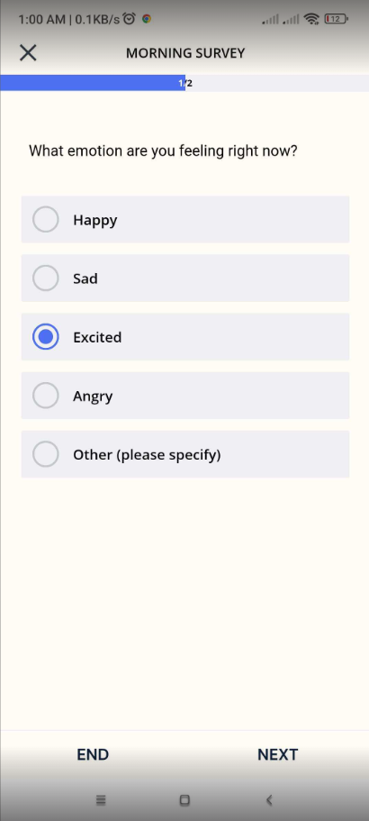 Mobile app survey view